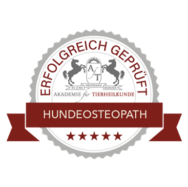 hundeosteopathie