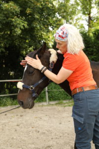 Osteopathin Bettina bei der Behandlung am Pferd